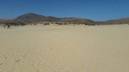 Fototapeta na wymiar sand dunes in lanzarote