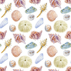 Marine seamless patern of sea shells. Watercolor illustration for textile, greeting cards,