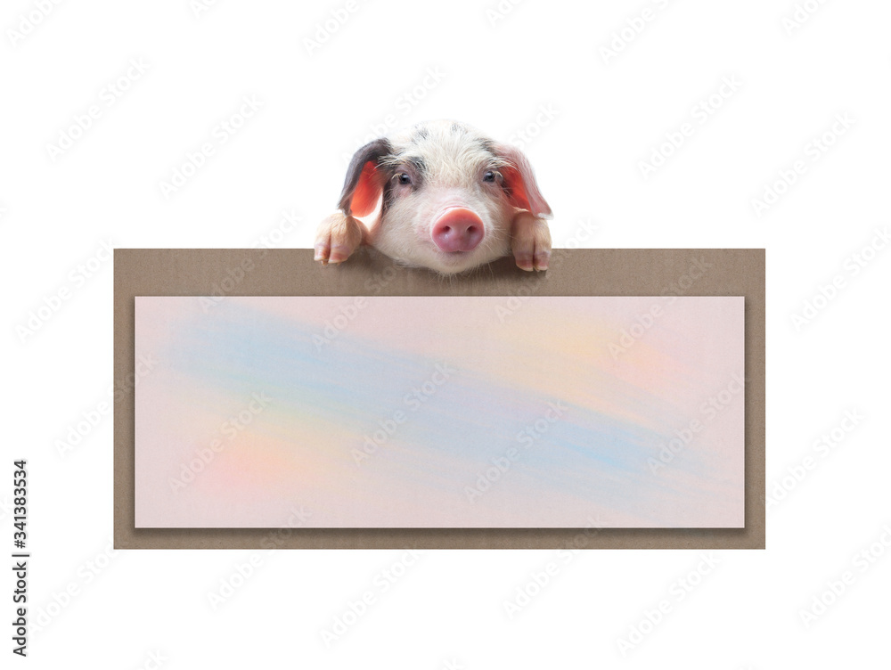 Poster pig with sheet for a text writing