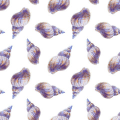 Marine seamless patern of sea shells. Watercolor illustration for textile, greeting cards,