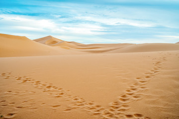 Fototapeta na wymiar Footprints going left and right on sand dunes of Sahara Desert, Morocco
