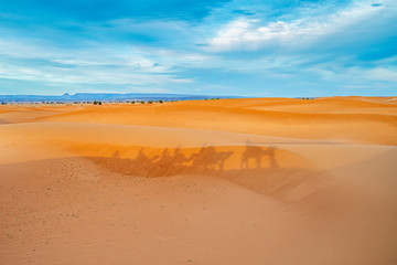 Fototapeta na wymiar Shadow of camel caravan visible on sand dunes of Sahara desert, Atlas Mountains in the background, Morocco