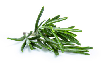 Fototapeta premium rosemary isolated on white background