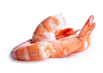 shrimp isolated on white background