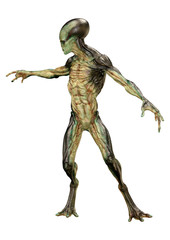 3D Rendering Green Alien on White