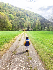 Fototapeta na wymiar a small boy walks on a country road. Mobile image