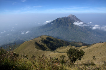 View of merapi mountain from Merbabu mountain hiking trail. Magelang, Central Java, Indonesia