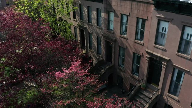 descending shot of charming Brooklyn brownstones revealing pink flowering tree