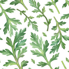 Watercolor Seamless pattern of poppy leaves on white background.