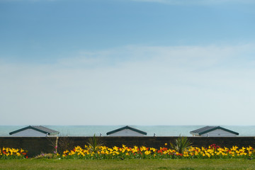 A seaside scene with yellow and red flowers planted in a border.The roof tops of three beach huts can be seen with sea and blue sky in background.Image