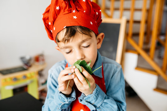 Boy smelling at fesh leaves in kitchen