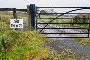 Sign on a fence around a field saying "No Dogs" to prevent people hunting