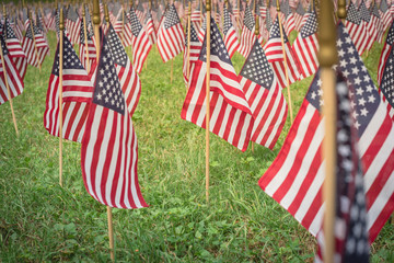 Shallow DOF selective focus many lawn American flags display on green grass on Memorial Day