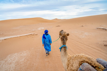 A Bedouin man walking with camel through yellow sands of Sahara Dessert, Morocco