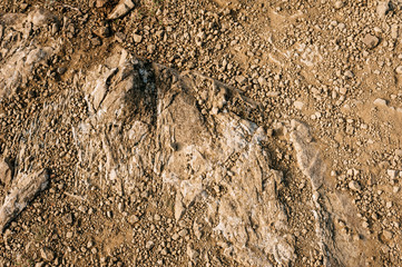 texture of the ground