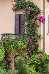 Fototapeta na wymiar Details of a little balcony with plants in blossom (Grado, Italy)