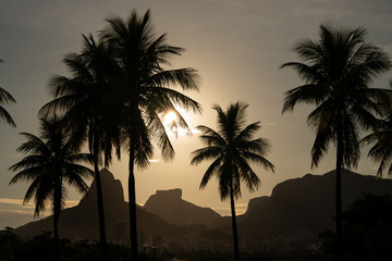 Fototapeta na wymiar Sunset over palm trees and Dois Irmaos near Lagoa in Rio de Janeiro Brazil