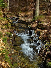 Czech Republic-view of Kalna brook with remnants of ice in spring near town Svoboda n / U