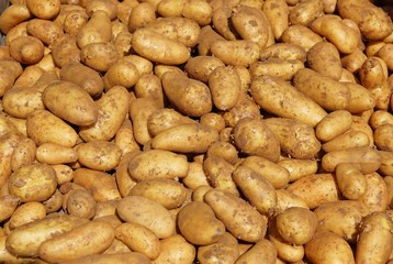Neue Kartoffeln