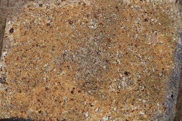 Wet sand