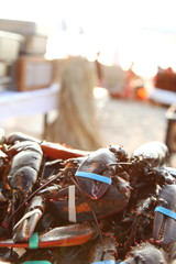 生きたロブスター、リゾートホテルのガーデンバーベキュー