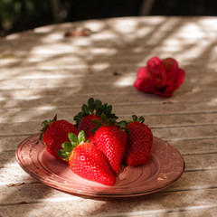 Harvest strawberry on a white wooden table in the garden close up.
