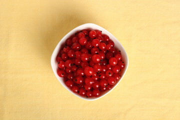 Red Currant Berries