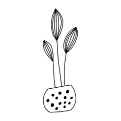 Cute hand drawn flower in pot. Single doodle icon element. Isolated on white background. Vector stock illustration.