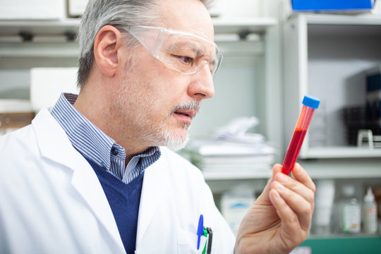 Medical sientist researcher looking at a blood tube, coronavirus blood test