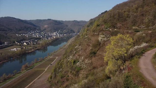 Moseltal bei Valwig,  Apolloweg im Fr&uuml;hling, Weinbau und Brachen