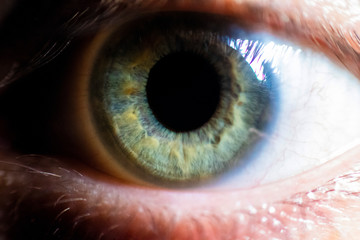 The human eye, macro shot. The open eye is green.