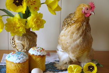 Religion and culture. Easter day. A decorative chicken sits on the table, there are festive cakes, a vase with beautiful yellow daffodils.