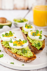 Avocado Sandwich with Egg and Micro green. Healthy breakfast concept