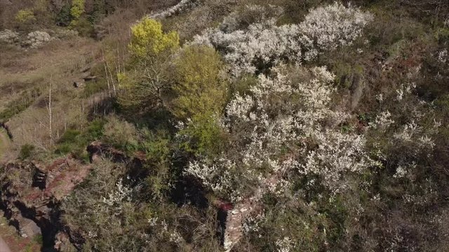 Moseltal bei Valwig,  Apolloweg im Fr&uuml;hling, Weinbau und Brachen