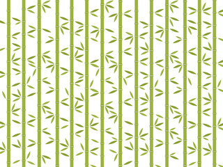 Background with tropical green bamboo vector illustration. Japan, China trees with leaves.