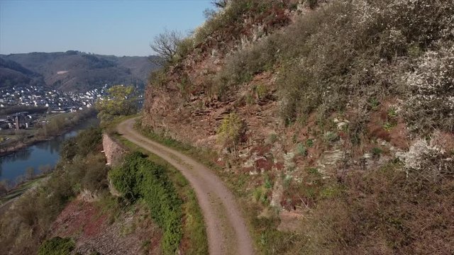 Moseltal bei Valwig,  Apolloweg im Fr&uuml;hling, Weinbau und Brachen