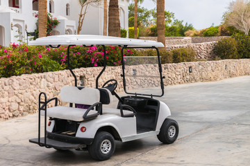 The Golf cart is parked next to a flower bed. The electric car is located near the tourist hotel....