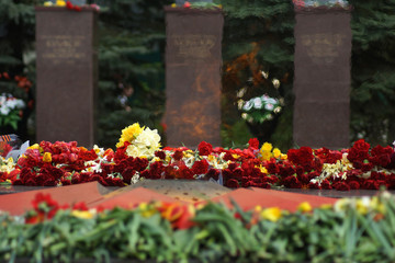 Laying flowers on the 9th of May for veterans