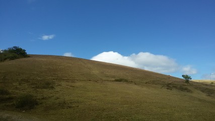 view from the hill- Vagamon- kotayam