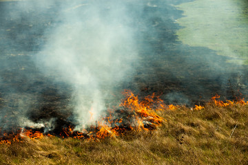 Burning old dry grass in garden. Flaming dry grass on a field. Forest fire. Stubble field is burned...
