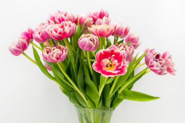 bouquet of pink tulips