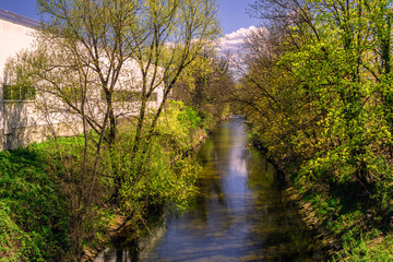 A small river between small trees,branches and green leafs on a sunny spring day