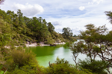 Green lake. Wai-o-tapu Thermal park. North island. New Zealand