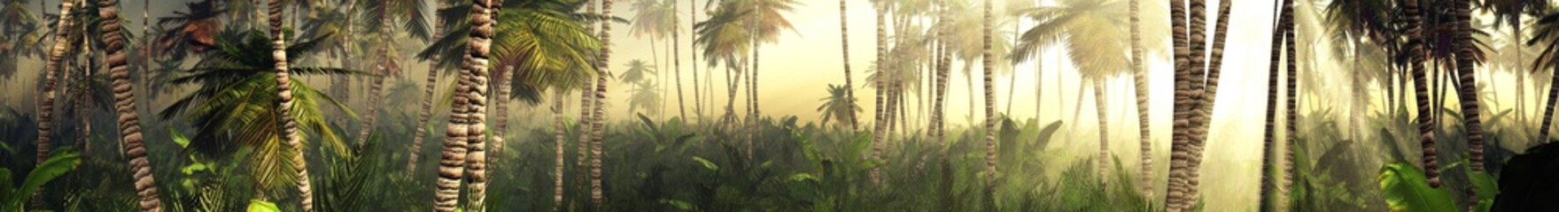 Panorama of the jungle in the morning in the rays of the rising sun, palm trees in the fog in the morning, 3D rendering