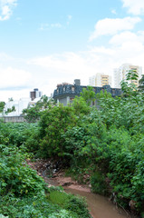 Obraz premium River full of trash and dirty btween city and ciliar forest