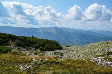 Fototapeta na wymiar Hills, slopes and mountains - summer natural landscape. View of the Carpathian Mountains from the top of Mount Strymba 
