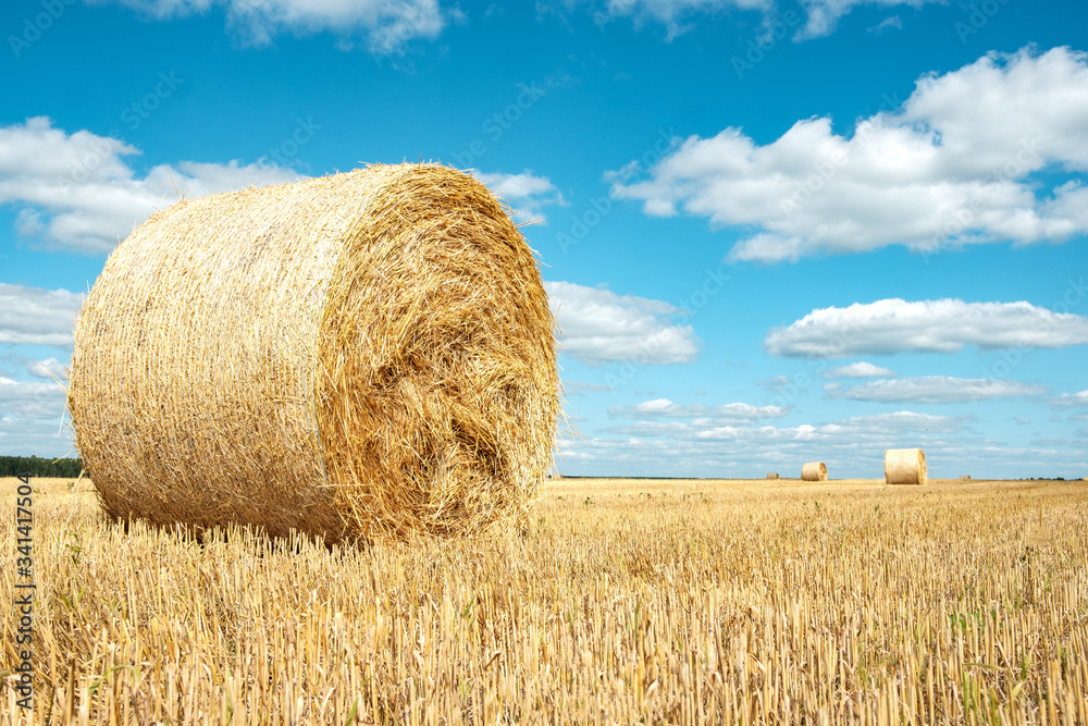 Wall mural a bale of hay on a field above it a blue sky