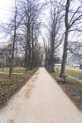 Fototapeta na wymiar Russia, Moscow, March 8, 2020, Apothecary garden, Botanical garden at the Moscow state Institute