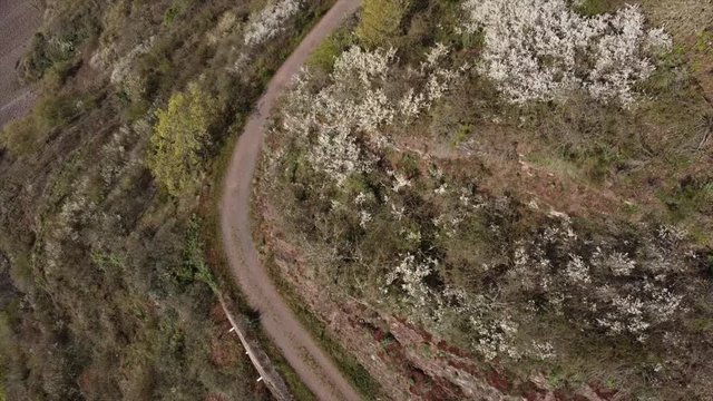Moseltal bei Valwig,  Apolloweg im Fr&uuml;hling, Weinbau und Brachen