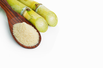 Fresh green sugar cane cut into slices before it is squeezed into sugar isolated on white background.This has clipping path.  